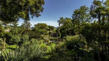 The prettiest pictures of Villa Capri and surroundings The prettiest pictures of Villa Capri and surroundings