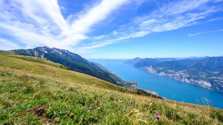 The prettiest pictures of Villa Capri and surroundings The prettiest pictures of Villa Capri and surroundings